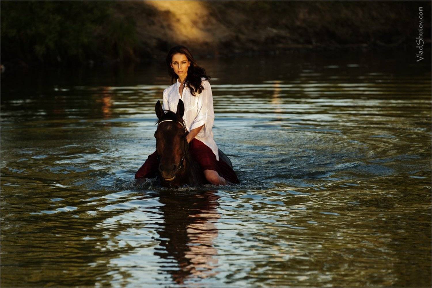 , Влад Шутов