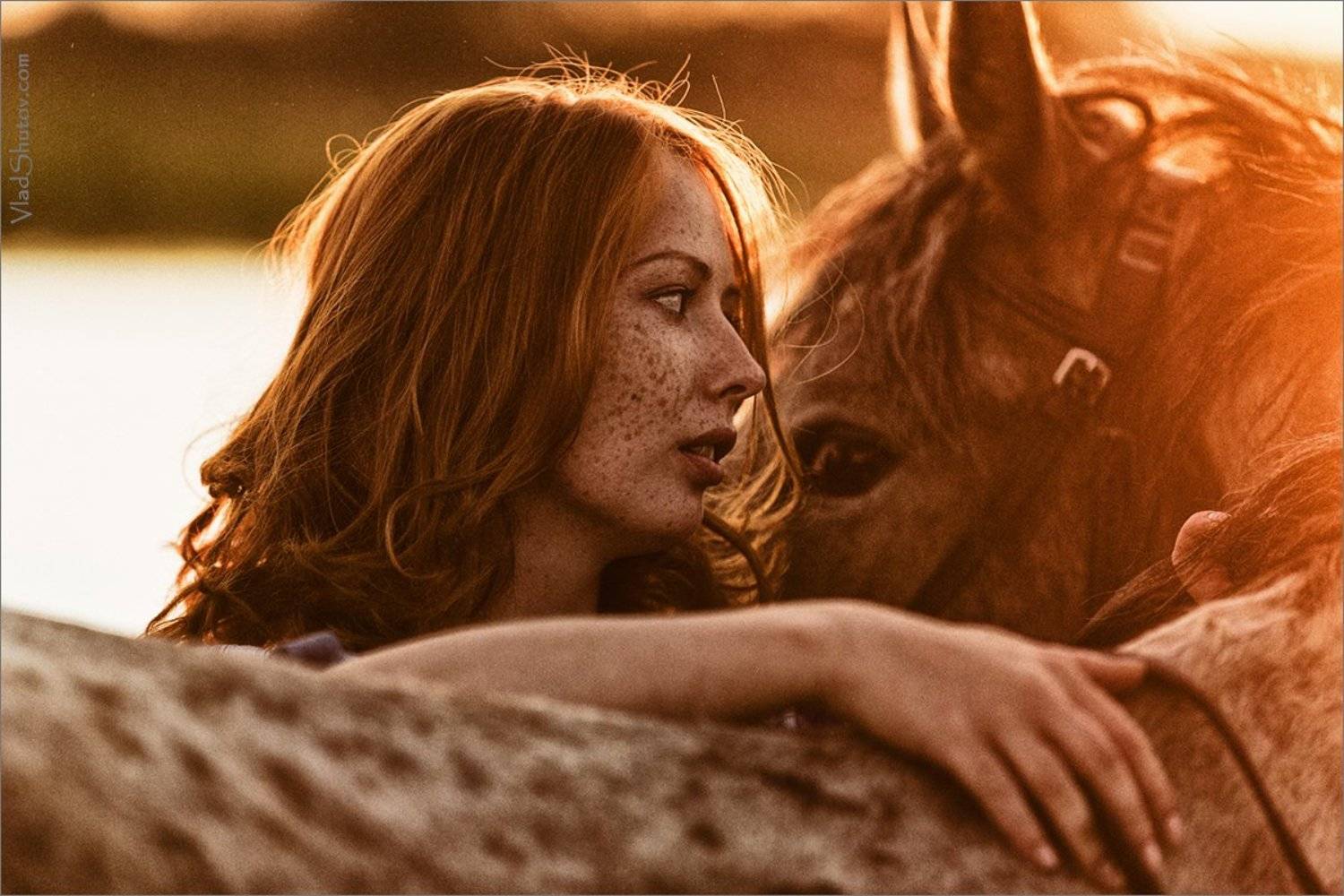 , Влад Шутов