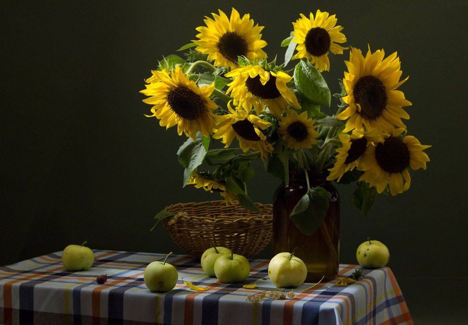 , Киливник Наталия(Metron)