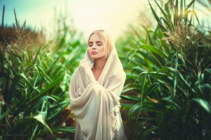 Corn фото превью