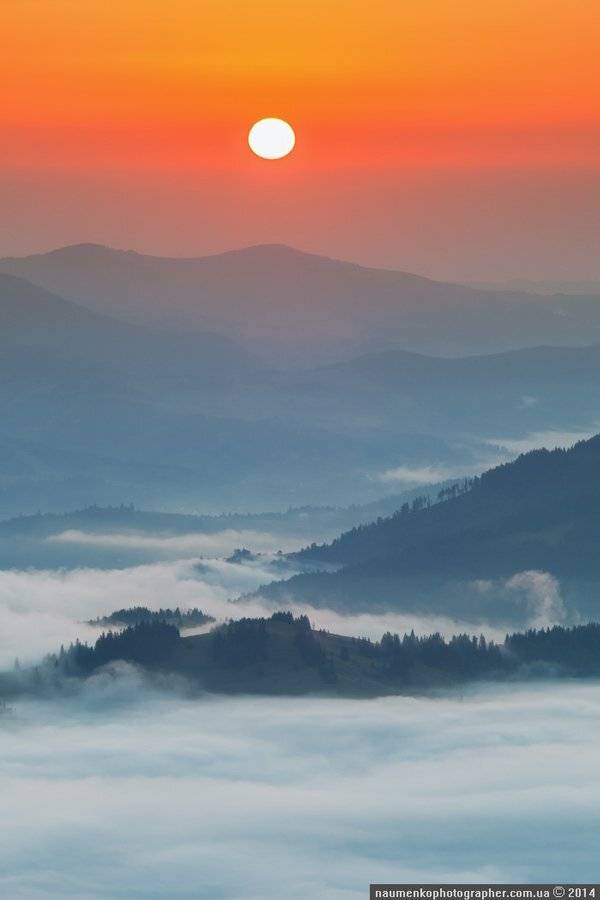 карпаты,	пейзаж,	рассвет, туман,	туманное утро, украина,	утро,	дземброня, Александр
