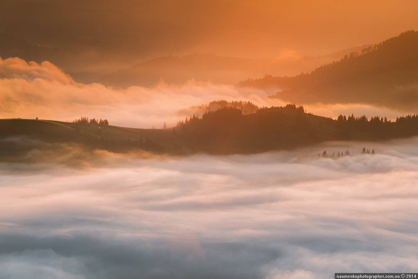 карпаты,	пейзаж,	рассвет, туман,	туманное утро, украина,	утро,	дземброня, Александр