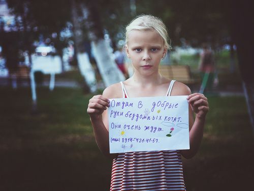 Отдам в добрые...