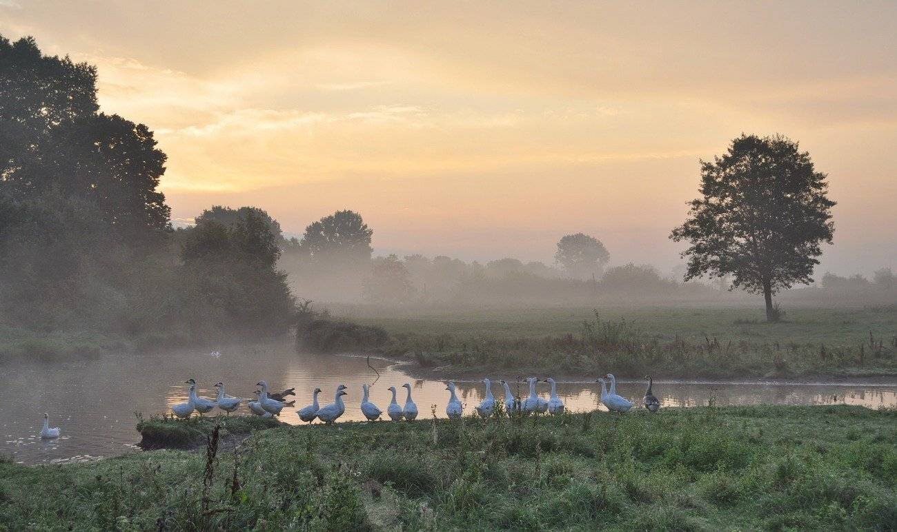 , Володимир Карчевський
