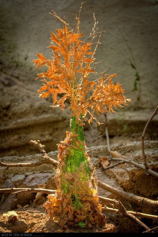 Gulp of this summer фото превью