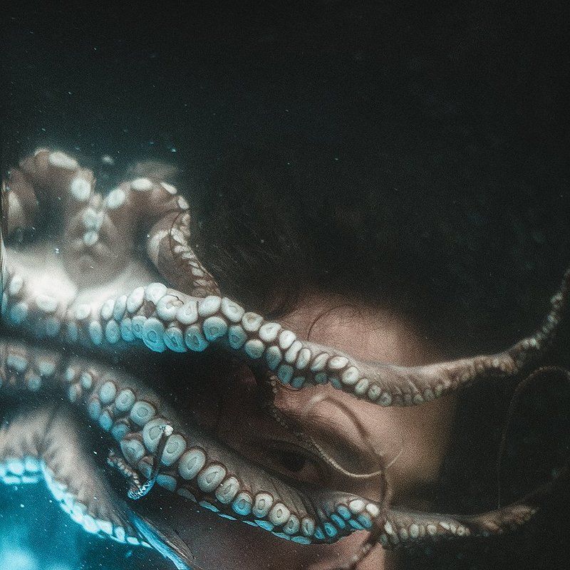 33 ﻂƹⱢ◊ᾧ фото превью