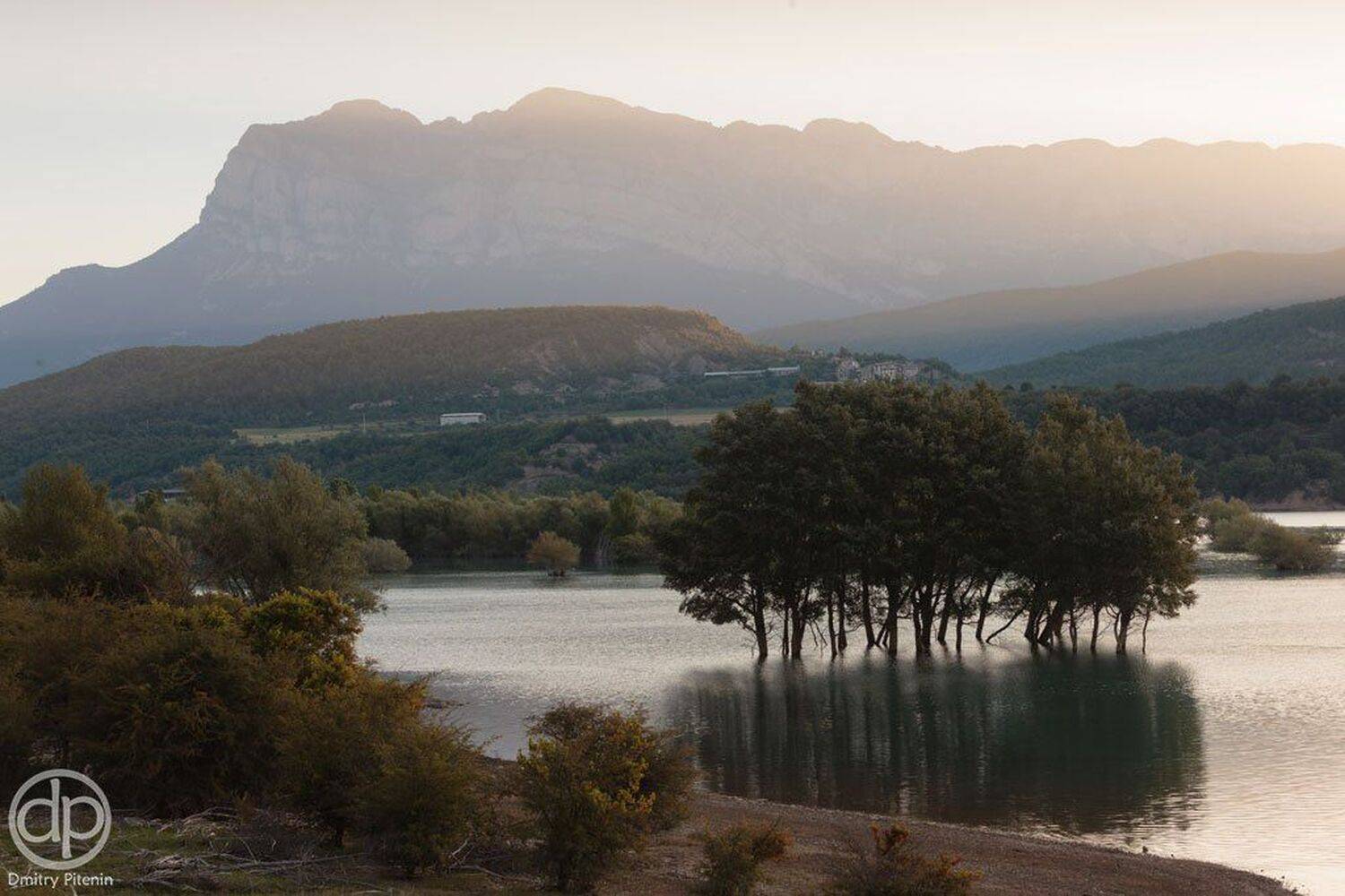 , Питенин Дмитрий