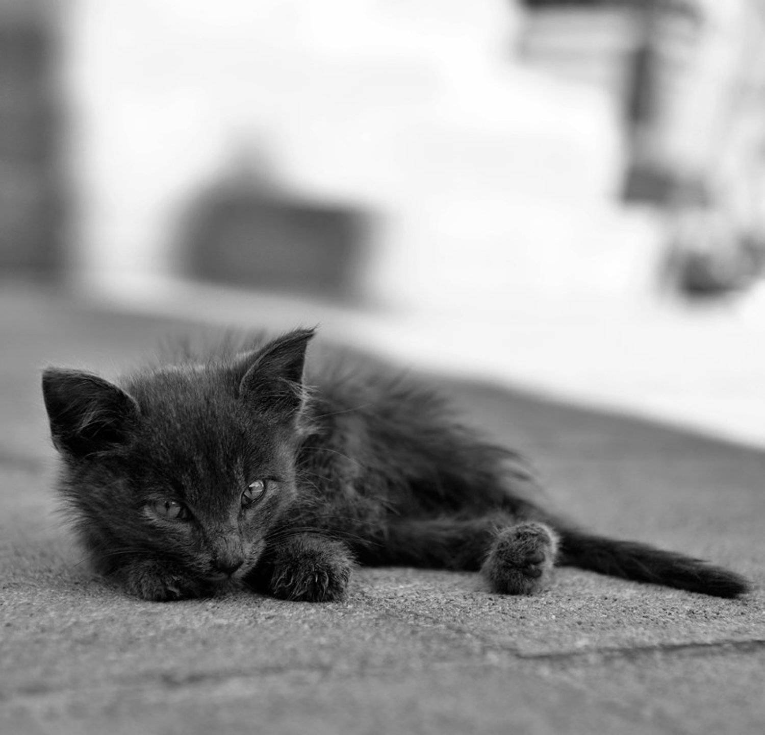 , Виталий Мазурин