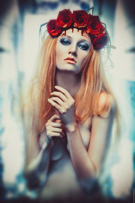 Новое продолжение фото превью