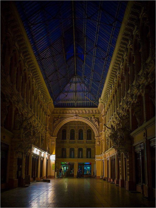 Пассаж фото превью