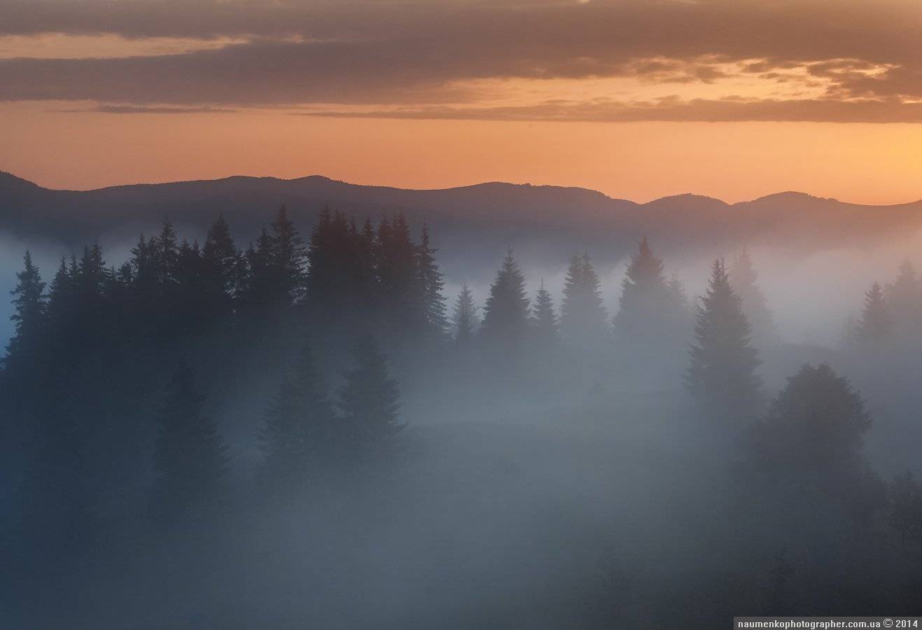 карпаты,	пейзаж,	рассвет, туман,	туманное утро, украина,	утро,	дземброня, Александр