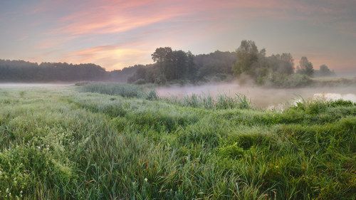 Августовское утро