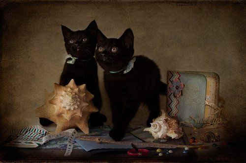 Скрапбукинговские котята :)