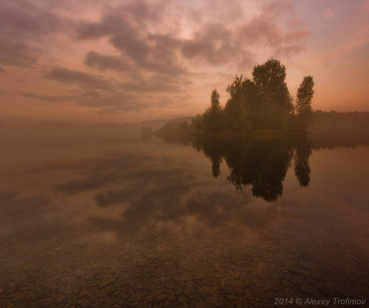 , Алексей Трофимов