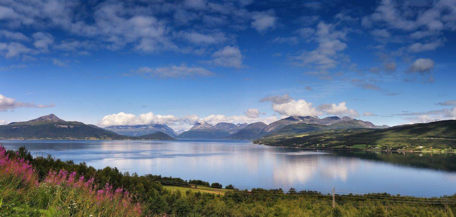 , Вейзе Максим