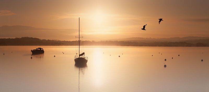 beyond the shrouded horizon... фото превью