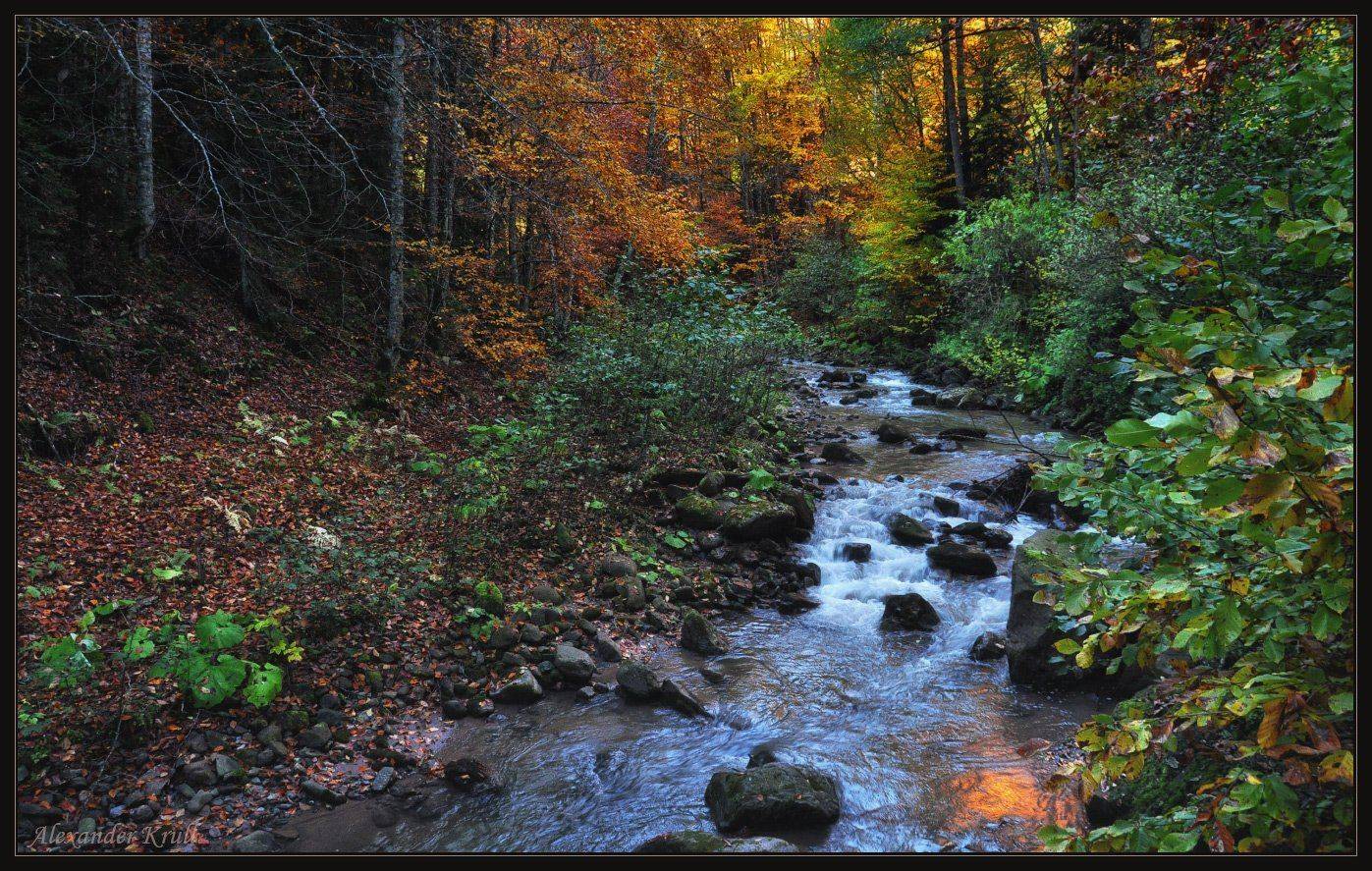 кавказ, кчр, рожкао, Александр Круль
