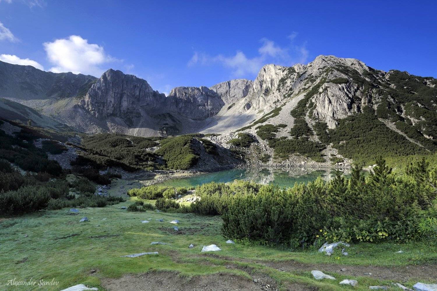 , Александър Сандев