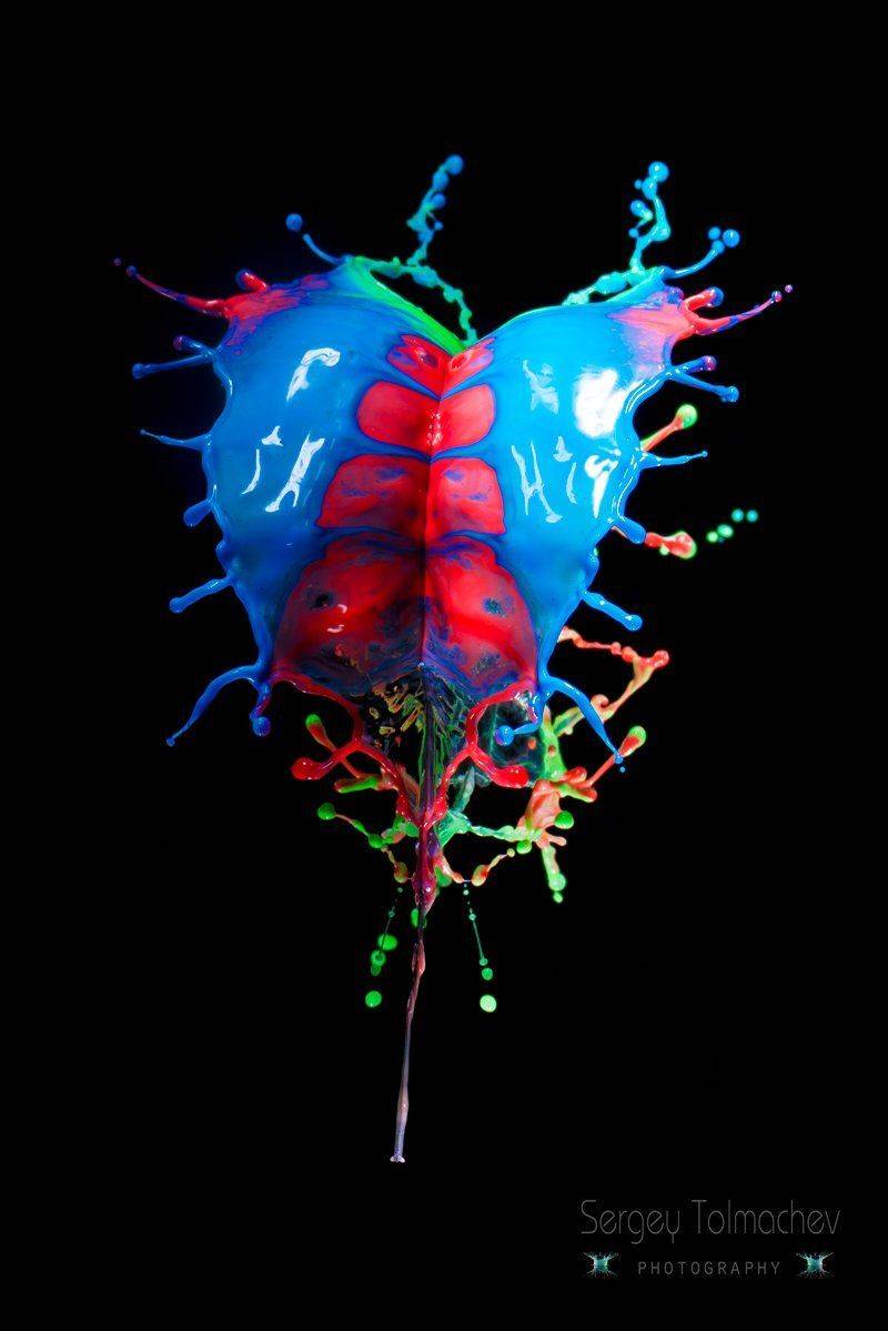 , Сергей Толмачев