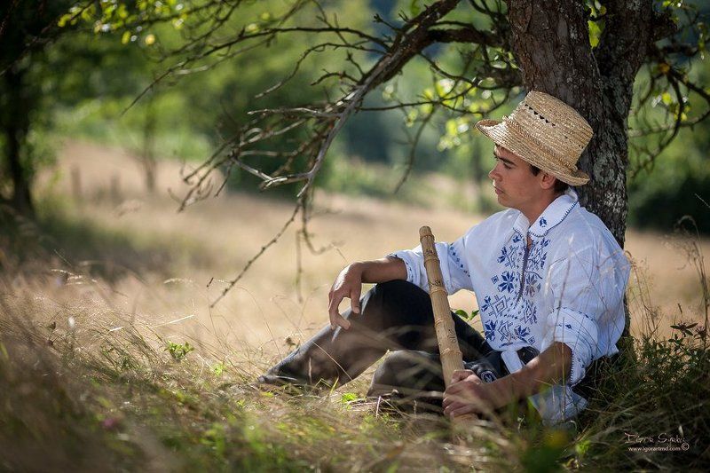 The sheperd фото превью