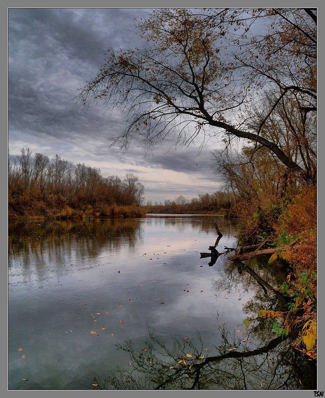 из осени фото превью