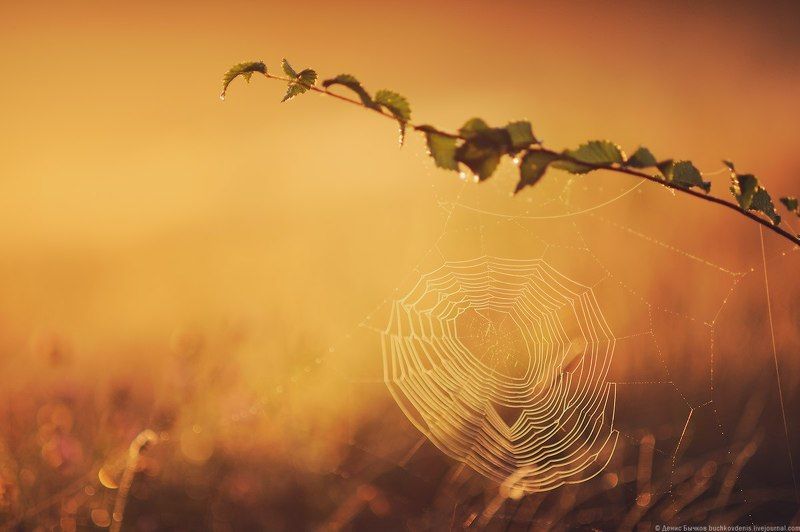 Рассвет фото превью