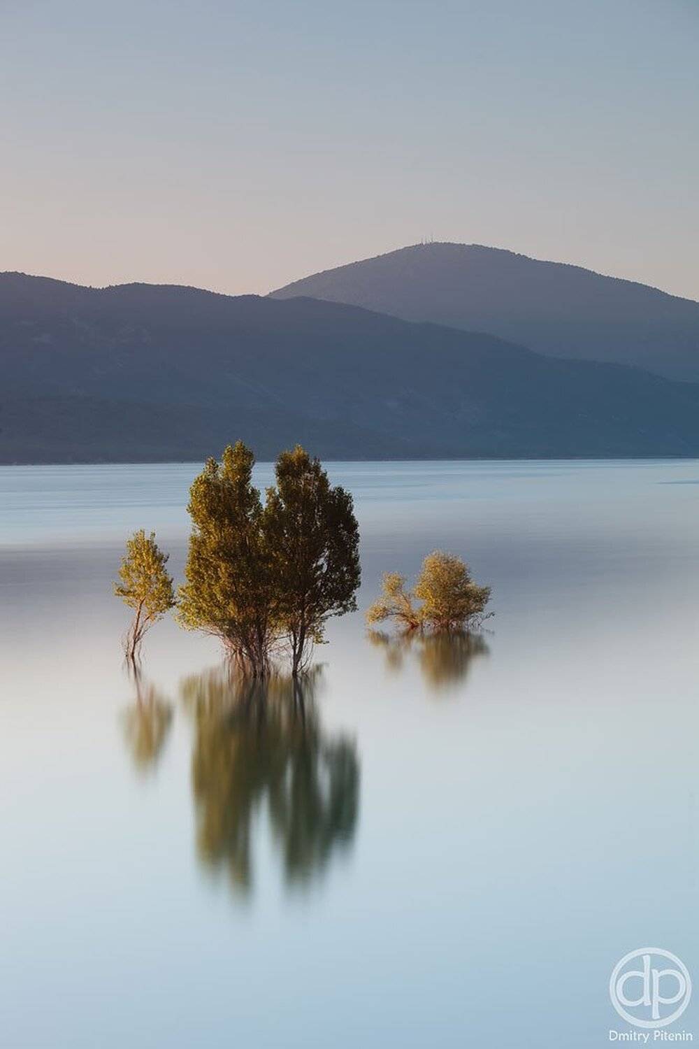 , Питенин Дмитрий