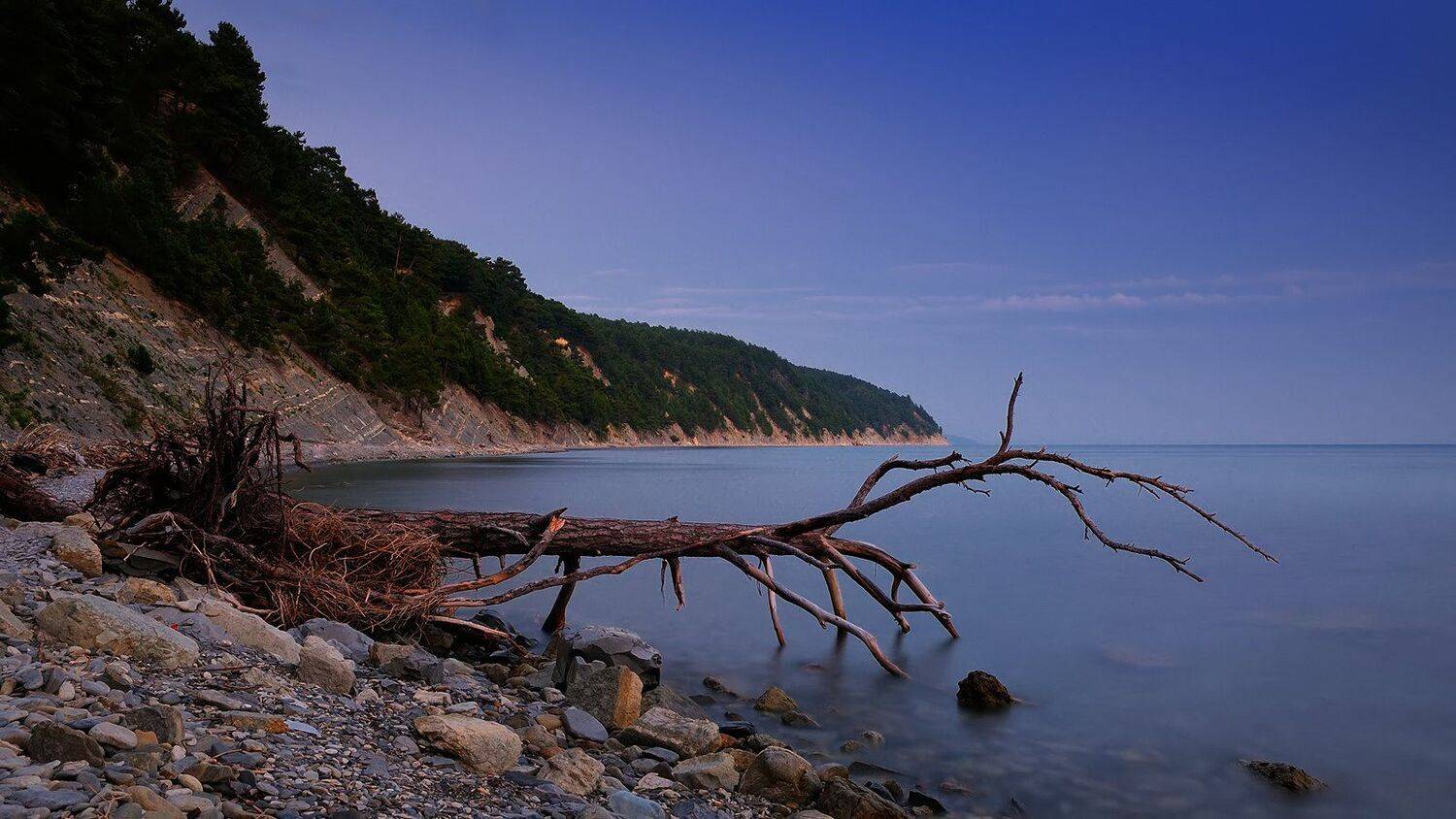 море, горы, вечер, коряга, лето, природа, пейзаж, Serj Master