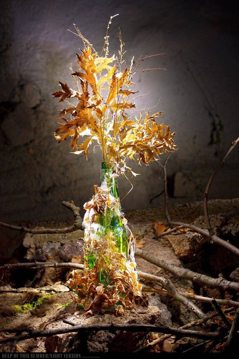 , Виталий Пономаренко