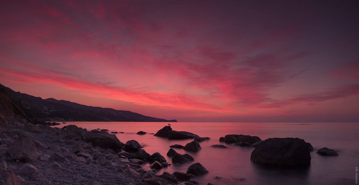 , Горшков Игорь