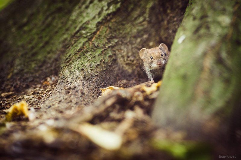 Простите, это вы ко мне обращаетесь? фото превью
