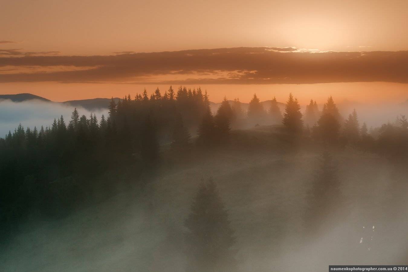карпаты,	пейзаж,	рассвет, туман,	туманное утро, украина,	утро,	дземброня, Александр
