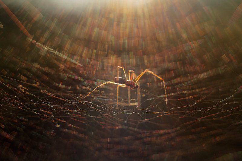 В их мире фото превью