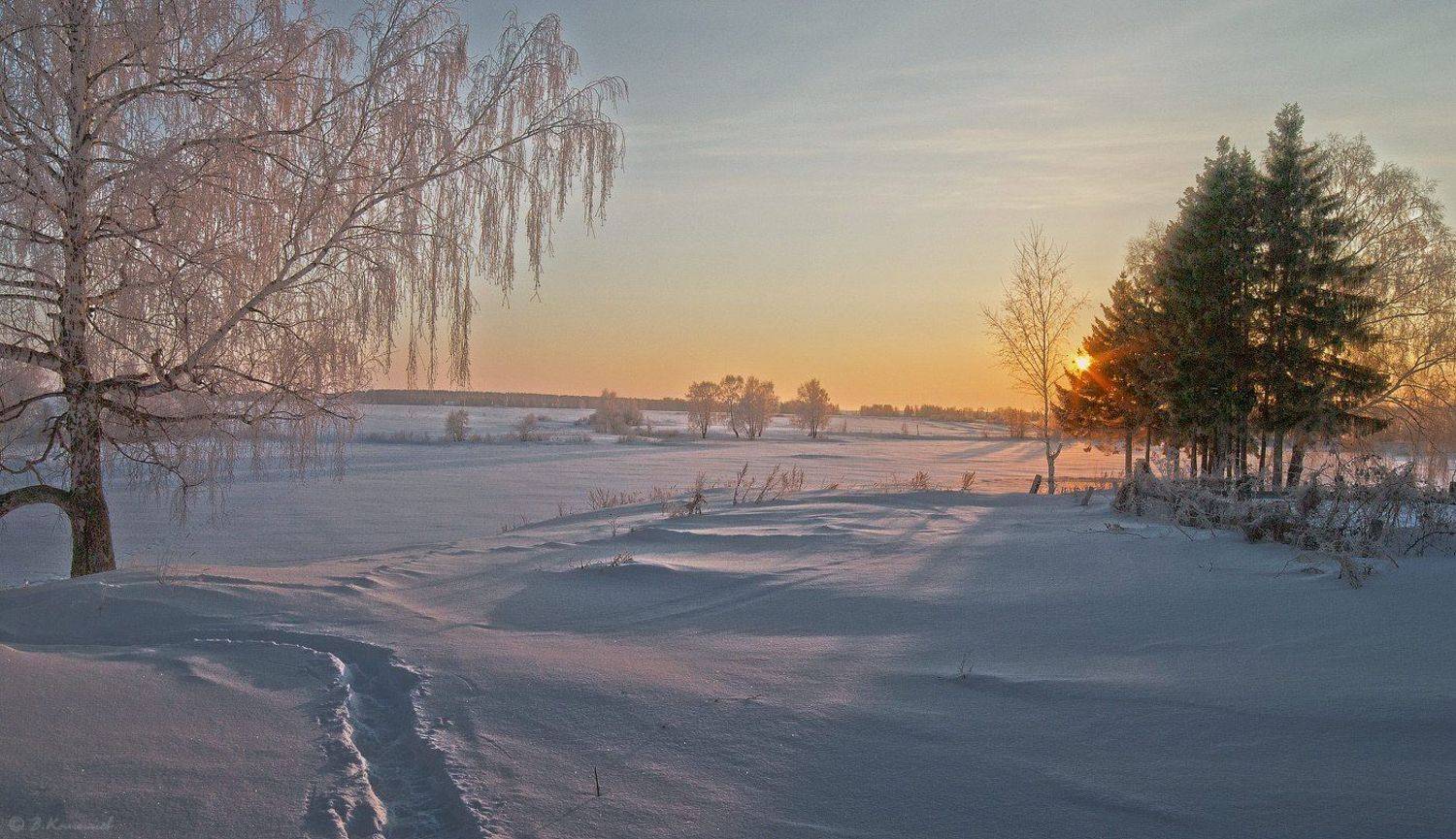 Золото, Иней, Март, Мороз, Рассвет, Владимир Комышев