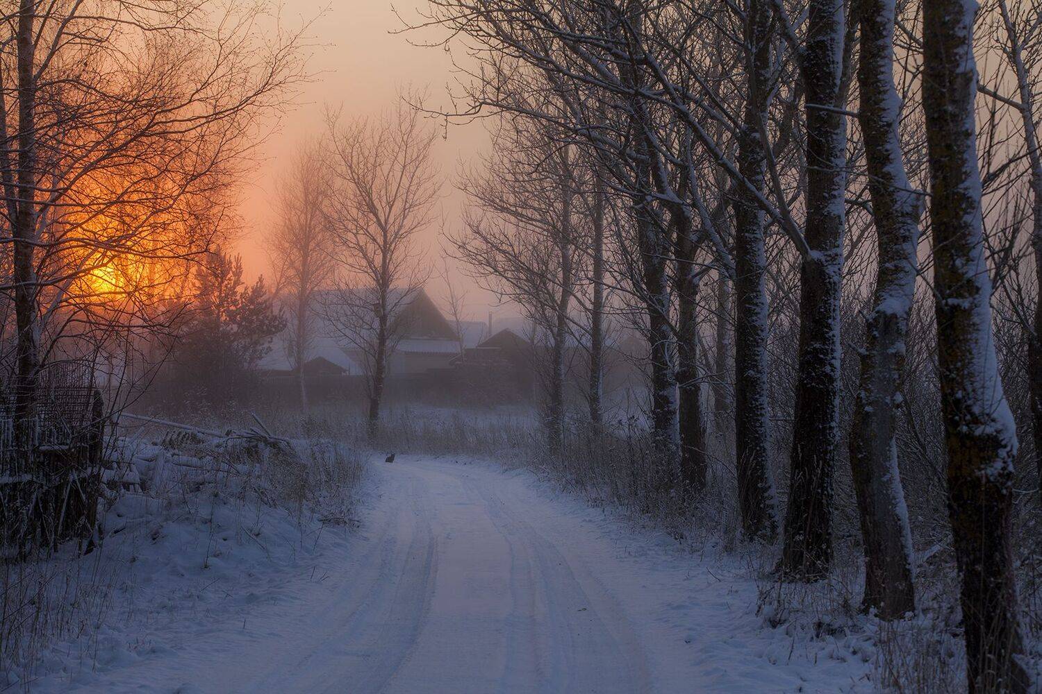 , александр