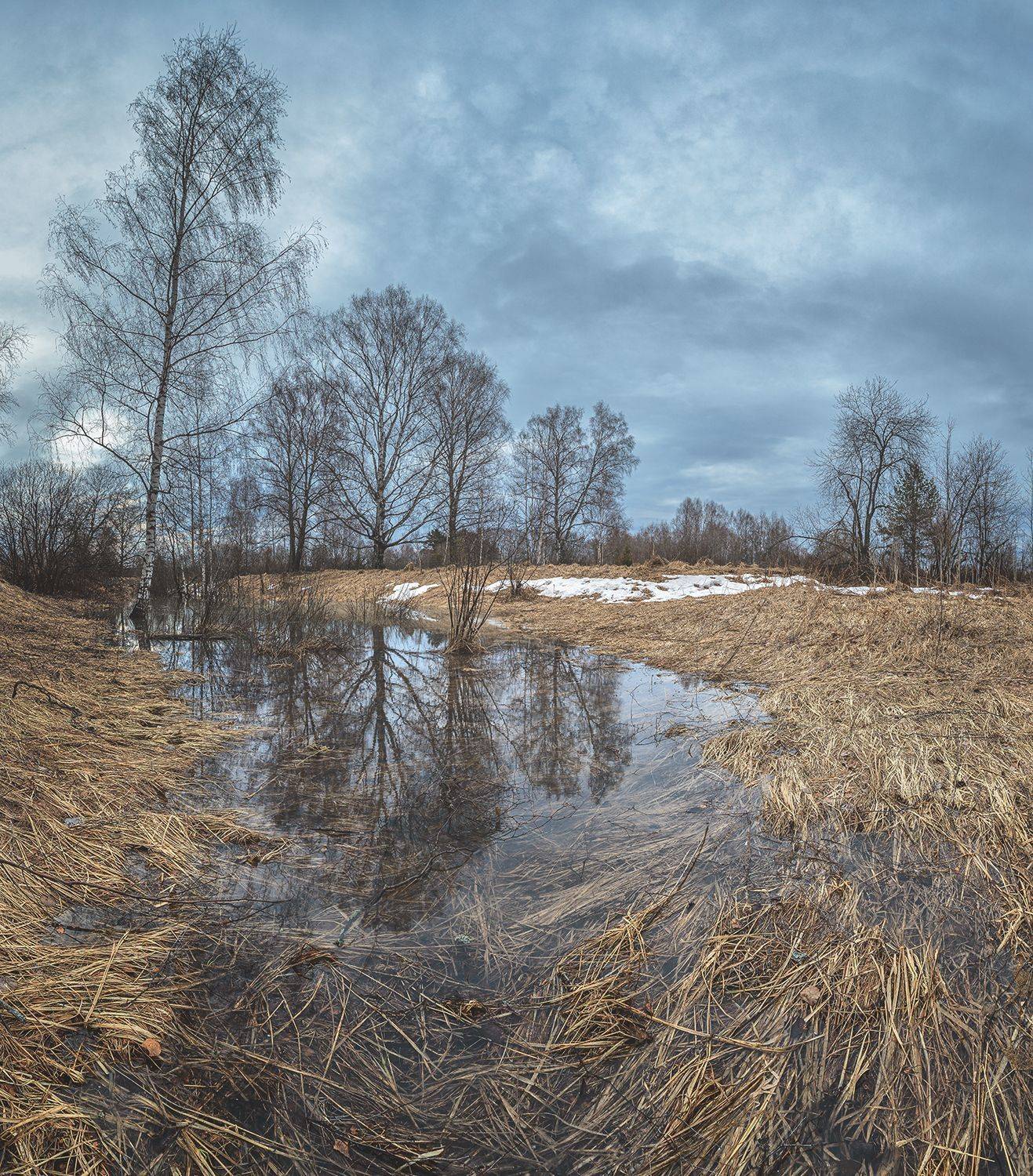 , Николай Андреев