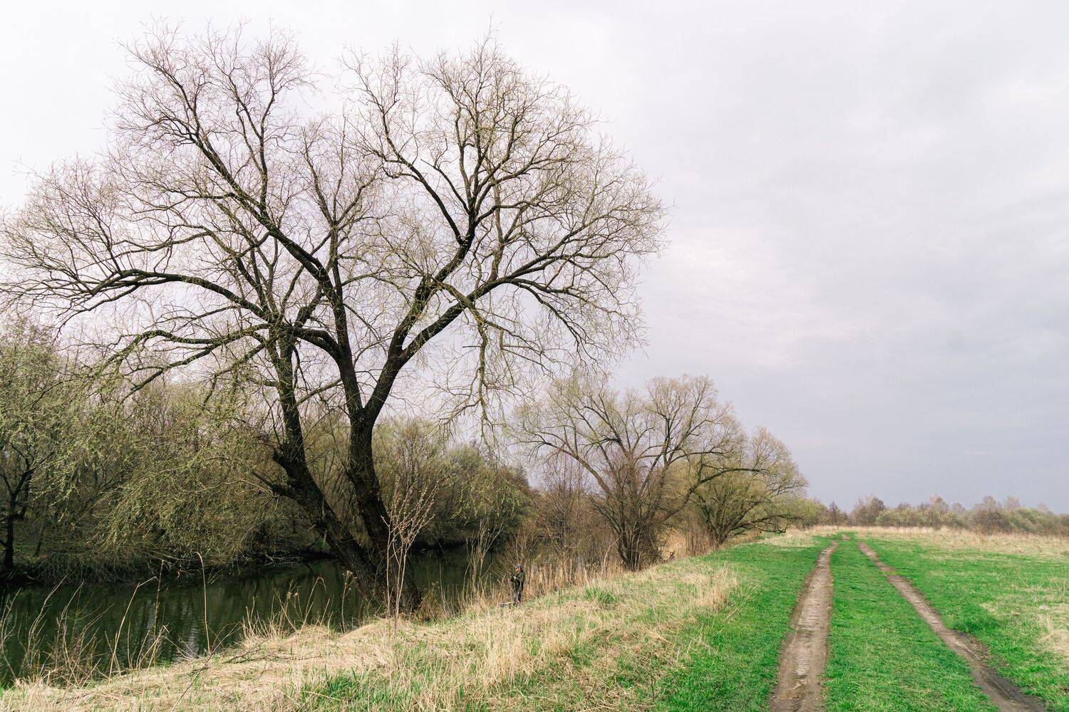 , Юрий Вертиков