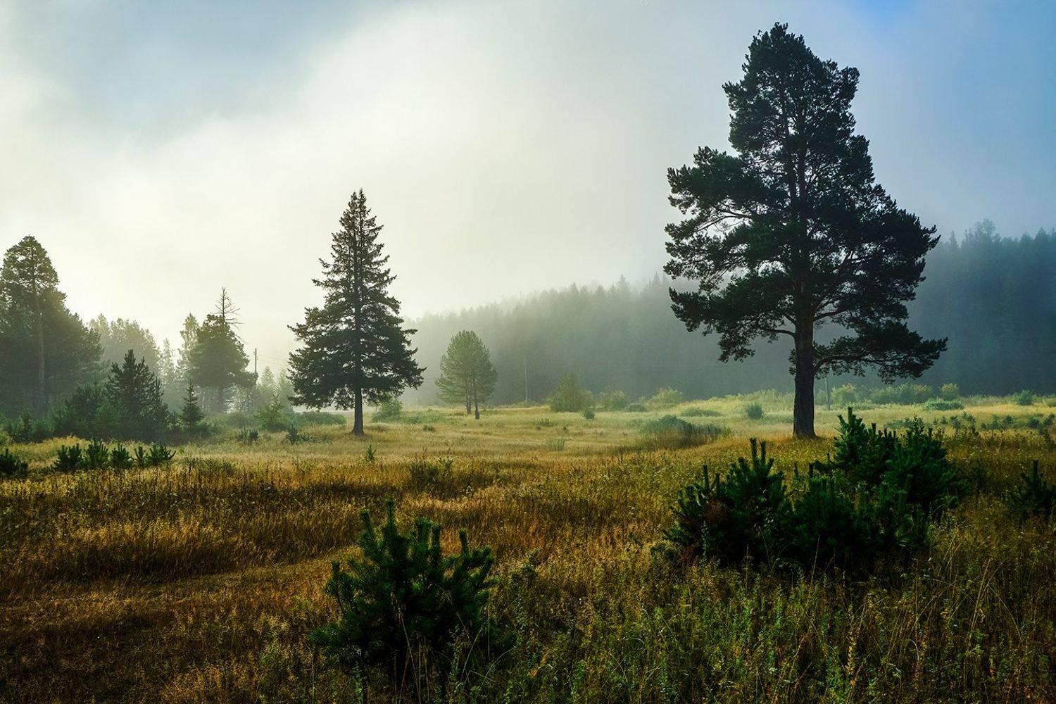 , Воинков Виктор
