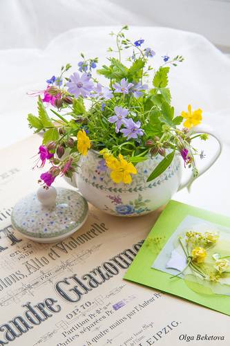 Летняя композиция