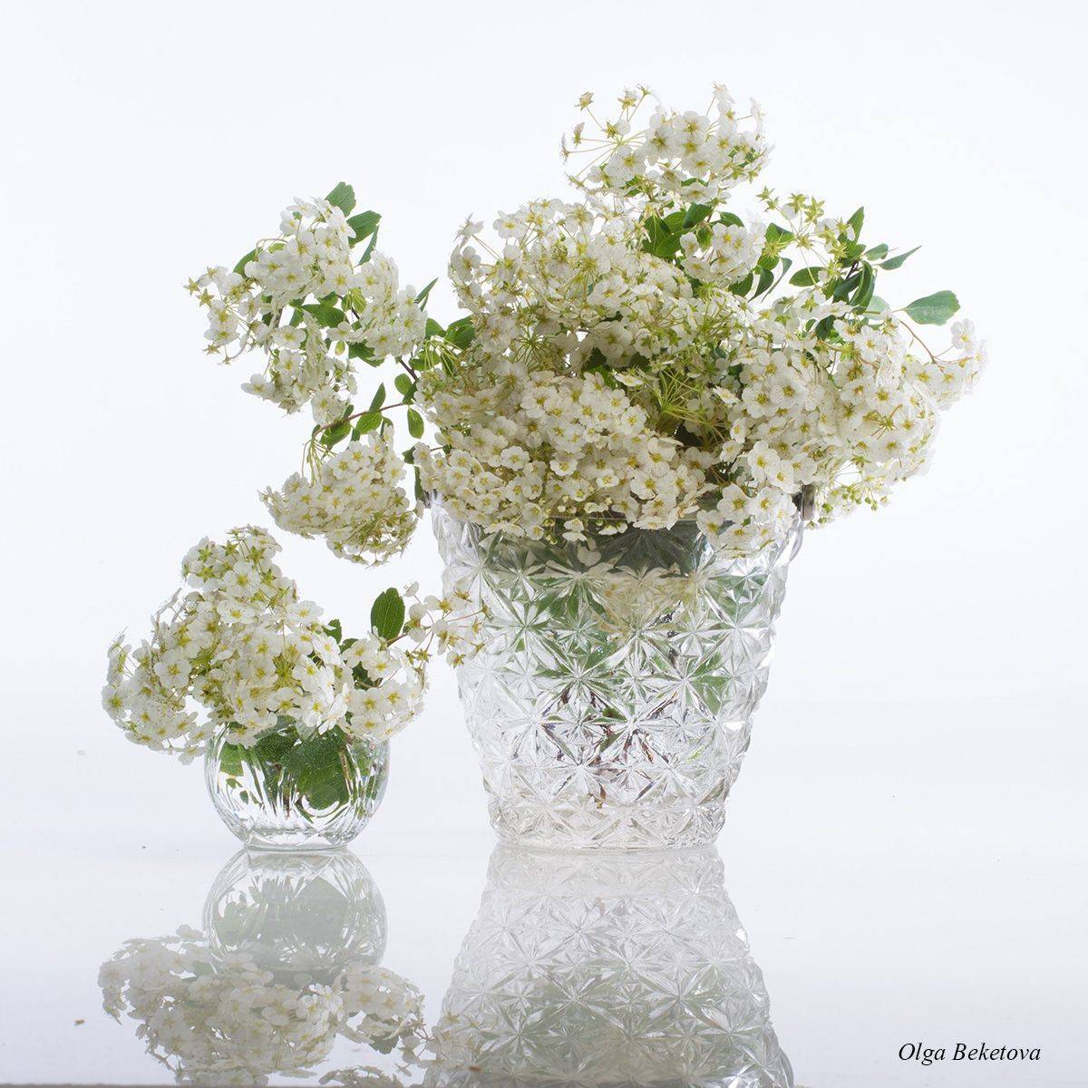 цветы, букет, натюрморт, композиция, Бекетова Ольга