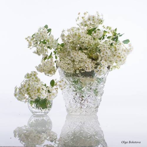 Весенняя композиция