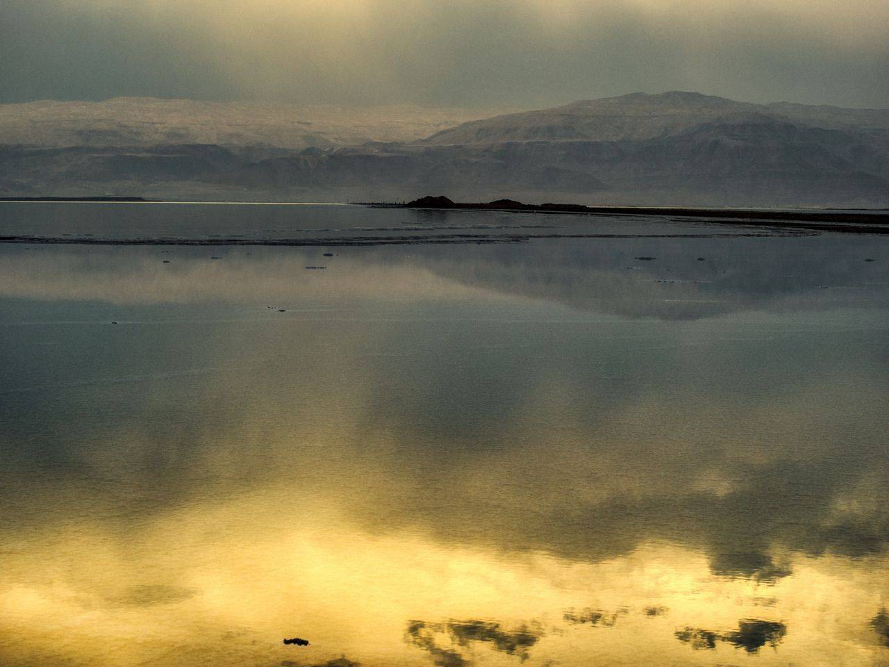 , David Solodar