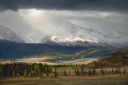 Приближается снежный шквал
