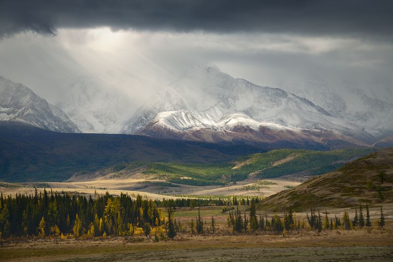 пейзаж, горы, хребет, курай, алтай, непогода, шквал, снег, небо, тревожный, грозный, суровый, ландшафт Приближается снежный шквал фото превью