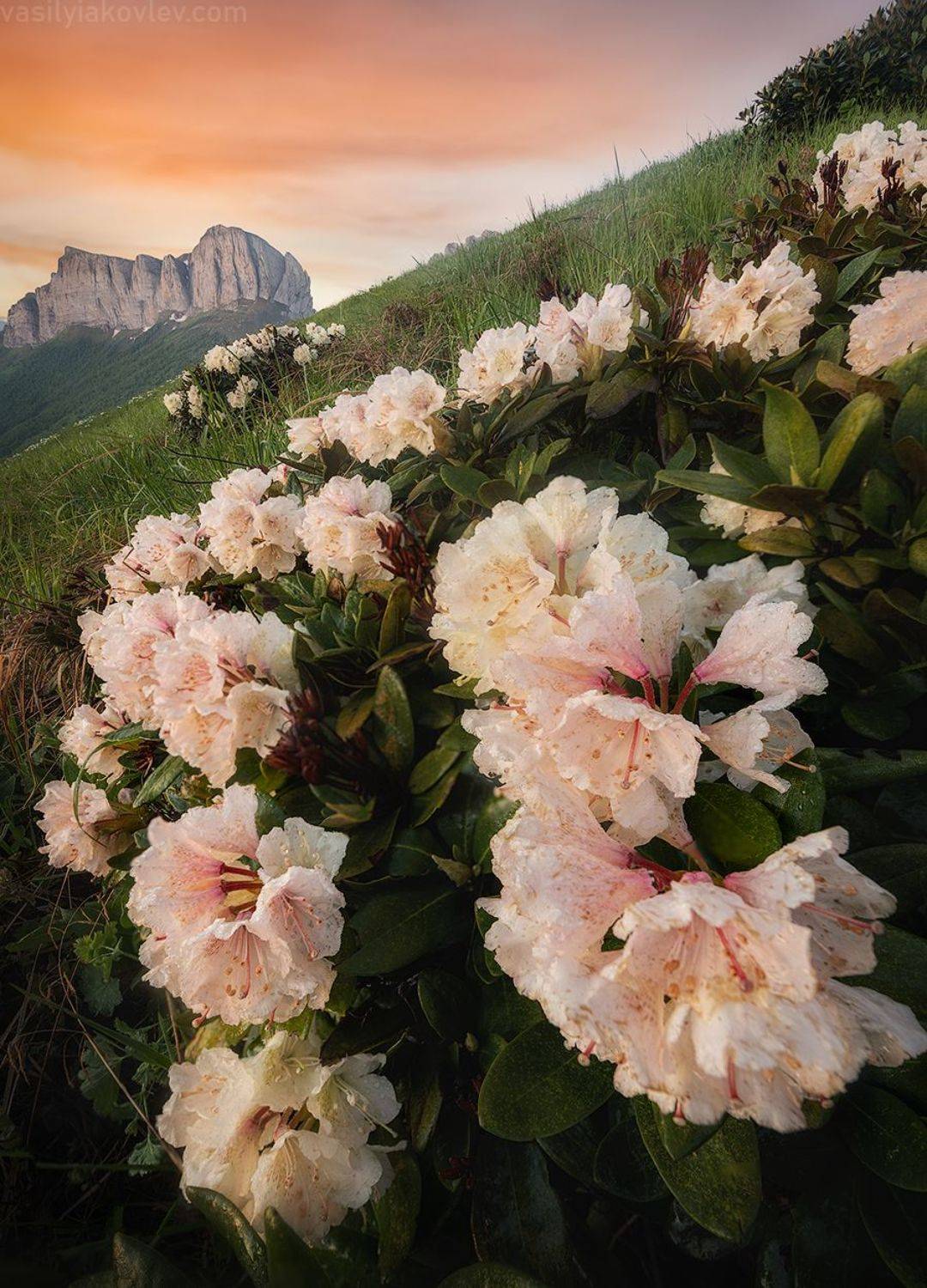 большойтхач, адыгея, фототур, яковлевфототур, Василий Яковлев