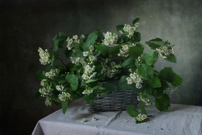 ~ фото превью