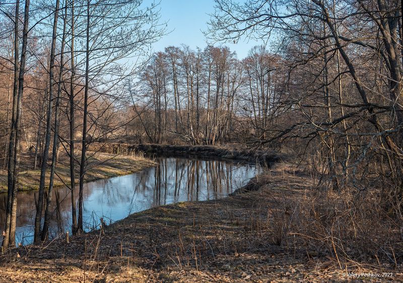 весна, весенняя река, разлив, отражения, графика крон, мещёра, рязанская область. Апрель на лесной реке фото превью