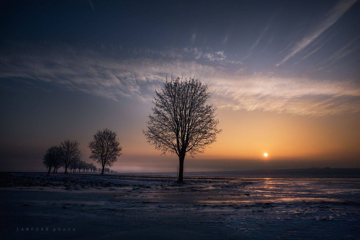 zanfoar,nikon d750,czech republic,bohemia,, Zanfoar