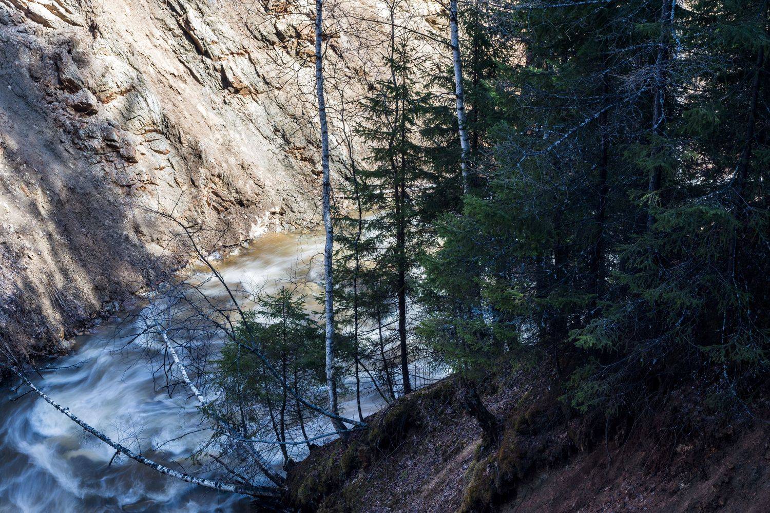 , Андрей Шарапов