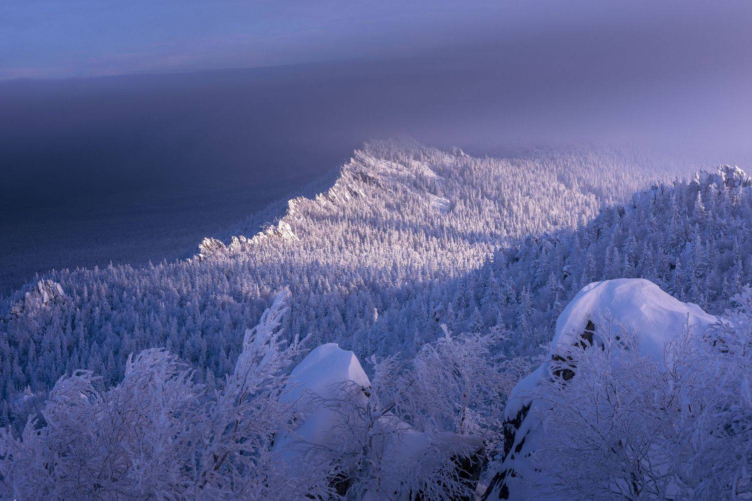 , Андрей Шарапов